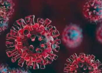 বিশ্বে করোনায় মৃত্যু ও আক্রান্ত দুটোই বেড়েছে