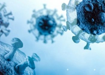 করোনা ঠেকাতে সব সমাবেশ বন্ধসহ ৪ সুপারিশ