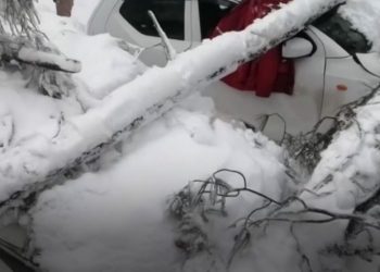 বরফের মধ্যে গাড়িতে আটকা পড়ে ঠাণ্ডায় জমে শিশুসহ ২১ জনের মৃত্যু