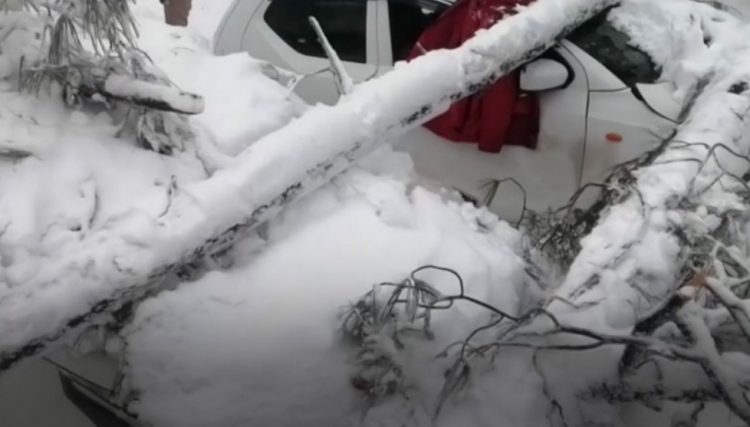 বরফের মধ্যে গাড়িতে আটকা পড়ে ঠাণ্ডায় জমে শিশুসহ ২১ জনের মৃত্যু