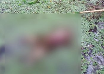 নগরীতে ডোবা থেকে অজ্ঞাত নারীর লাশ উদ্ধার