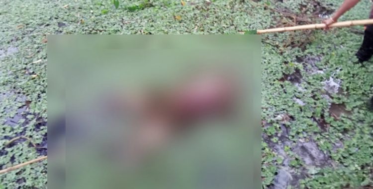 নগরীতে ডোবা থেকে অজ্ঞাত নারীর লাশ উদ্ধার