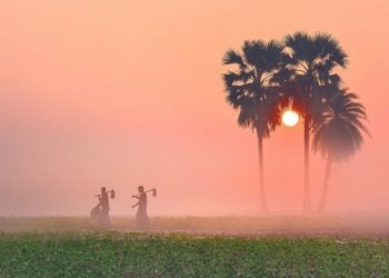 কুয়াশার চাদরে ঢেকে থাকে গ্রাম বাংলার প্রতিটি প্রান্তর