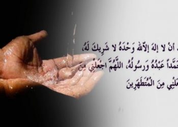 অজুতে নবিজী (সা.) যে ধারাবাহিকতা রক্ষা করতেন