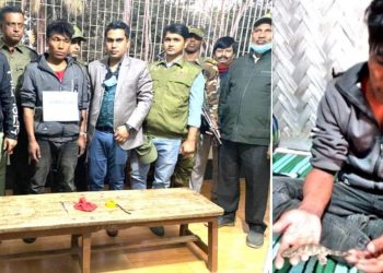 বান্দরবনে তক্ষকসহ আটক ১