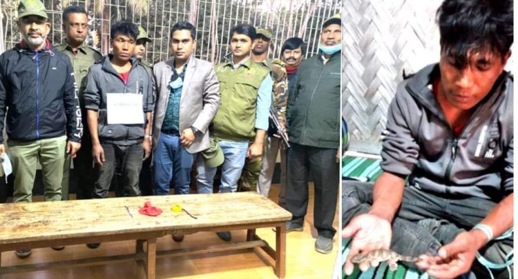 বান্দরবনে তক্ষকসহ আটক ১