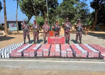 মিরসরাইয়ে সীমান্তে কোটি টাকার ভারতীয় ওষুধ জব্দ