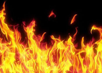 চন্দনাইশে খামারে আগুন লেগে ১১ গরুর মৃত্যু