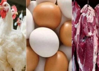 বেড়েছে মাংস-মুরগি-ডিমের মূল্য; কমেছে সবজি-পেঁয়াজের