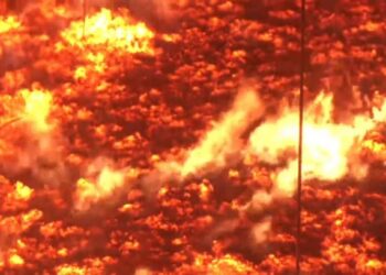 ভয়াবহ রূপ নিল এস আলম গ্রুপের সুগার মিলের অগ্নিকাণ্ড