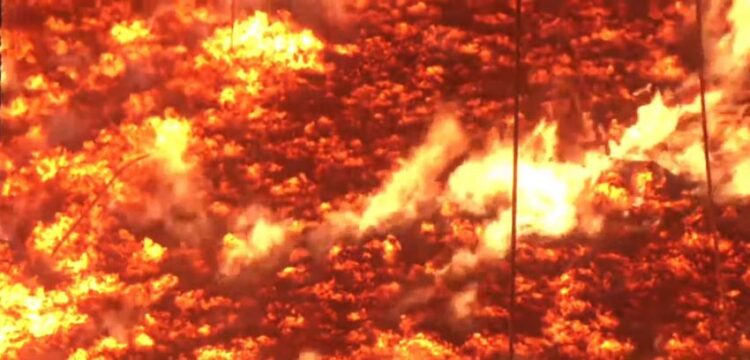 ভয়াবহ রূপ নিল এস আলম গ্রুপের সুগার মিলের অগ্নিকাণ্ড