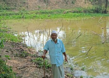 পটিয়ায় যৌথ মালিকানাধীন পুকুর থেকে দুই লাখ টাকার মাছ চুরি