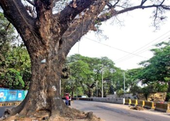 টাইগার পাসের শত বর্ষী গাছ কাটার পরিকল্পনা বন্ধের দাবি বাসদ চট্টগ্রামের
