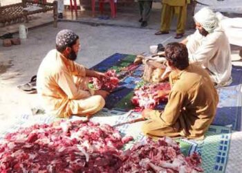 ধর্ম/ভাগে কোরবানি দেয়ার নিয়ম