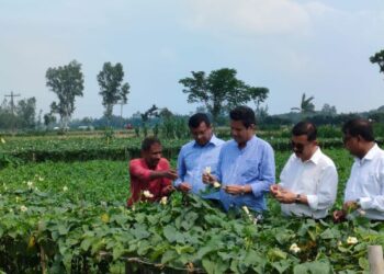 নিরাপদ সবজি উৎপাদন নিশ্চিতে জৈব বালাইনাশকের উপযোগিতা পরীক্ষায় সহায়তা ইউসিবির