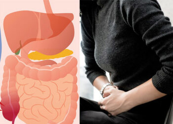 অ্যাপেন্ডিক্সের ব্যথা: বুঝে নিন সাত লক্ষণে