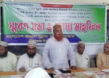 মিরসরাইয়ে বাকিবিল্লাহ সাদেকীর স্মরণ সভা ও দোয়া মাহফিল অনুষ্ঠিত