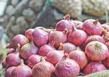 সপ্তাহের ব্যবধানে পেঁয়াজের মূল্য বাড়ল কেজিতে ৩০ টাকা