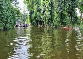 ফেনীতে বন্যার পরিস্থিতি আরো উন্নতি