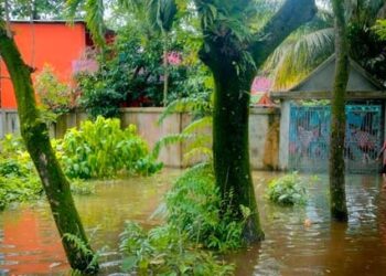 লক্ষ্মীপুরে বন্যায় পানিবন্দি প্রায় চার লাখ মানুষ