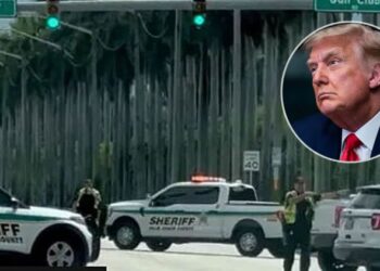 ফের ডোনাল ট্রাম্পের ওপর হমলা