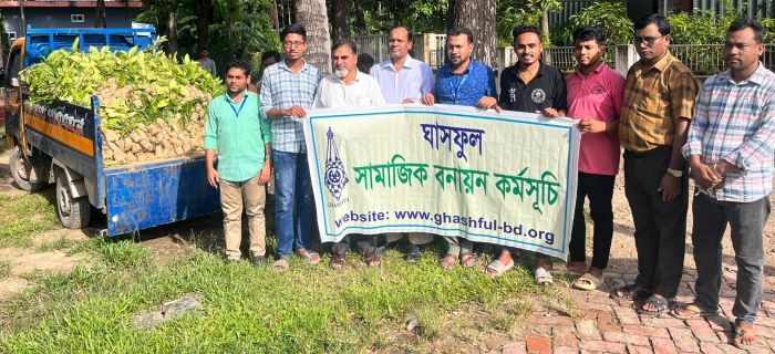 চলতি বছরে ঘাসফুলের ১৮ হাজার গাছের চারা বিতরণ