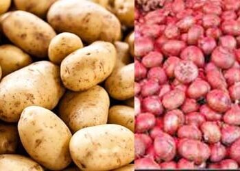 আলু ও পেঁয়াজ আমদানিতে কমেছে শুল্ক