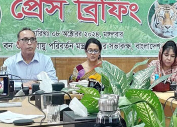 জরিপ/সুন্দরবনে বাঘ বেড়েছে ১১টি