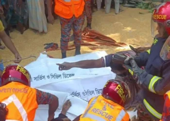 মিরসরাইয়ে সড়ক দুর্ঘটনায় পাণ গেল একই পরিবারের চারজনের