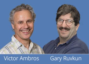 চিকিৎসাশাস্ত্রে নোবেল পেলেন যুক্তরাষ্ট্রের বিজ্ঞানী ভিক্টর অ্যামব্রোস ও গ্যারি রুভকুন