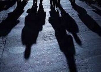 চন্দনাইশের বরকলে প্রশাসনের পরিচয়ে মমতার খামারে গরু ডাকাতি