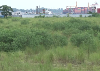 কনটেইনার হ্যান্ডলিংয়ে সক্ষমতা বাড়াতে লালদিয়ার চরেই আস্থা চট্টগ্রাম বন্দরের