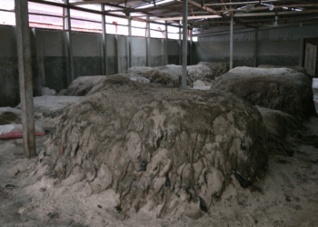 চট্টগ্রামে সংরক্ষণ করা হয়েছে সাত লাখ ৭৪ হাজার চামড়া