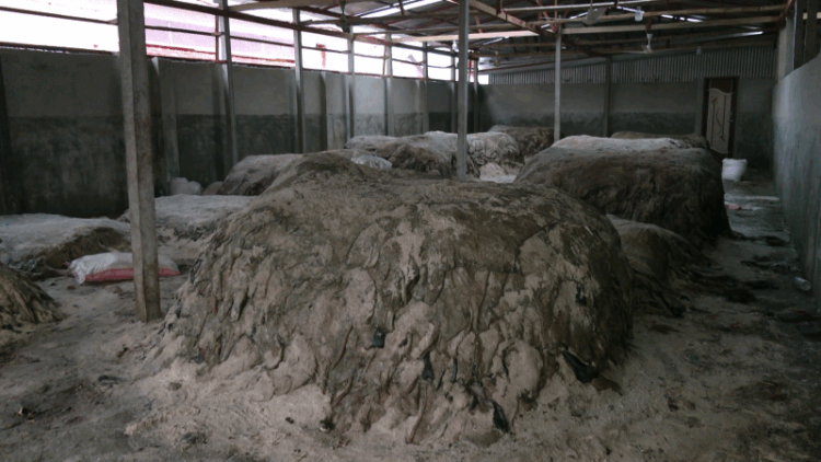 চট্টগ্রামে সংরক্ষণ করা হয়েছে সাত লাখ ৭৪ হাজার চামড়া