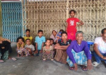 টেকনাফ সীমান্ত দিয়ে নতুন করে আসা ১৪ রোহিঙ্গা বিজিবির হেফাজতে