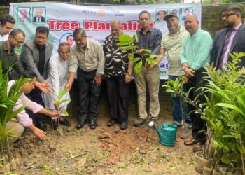 সাউদার্ন ইউনিভার্সিটিতে রোটারী ক্লাবের উদ্যোগে বৃক্ষরোপণ কর্মসূচি