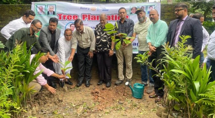 সাউদার্ন ইউনিভার্সিটিতে রোটারী ক্লাবের উদ্যোগে বৃক্ষরোপণ কর্মসূচি