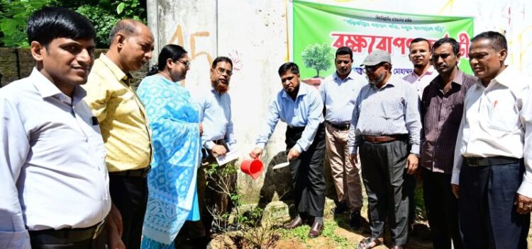 চবি ল্যাবরেটরি স্কুল এন্ড কলেজের উদ্যোগে বৃক্ষরোপণ কর্মসূচি উদ্বোধন