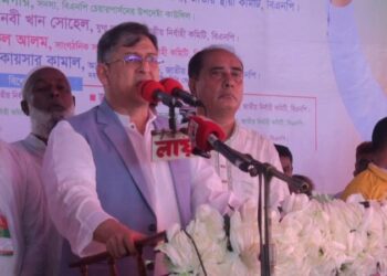 নির্বাচন রুখে দেওয়ার শক্তি কারও নেই: সালাউদ্দিন আহমেদ