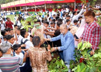 শিক্ষার্থীদের মাঝে গাছের চারা বিতরণ হালিশহর থানা যুবদল ও ছাত্রদলের
