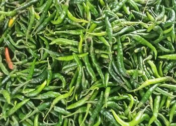 লাগামহীন সবজির দাম, কাঁচা মরিচের ‘ট্রিপল সেঞ্চুরি’