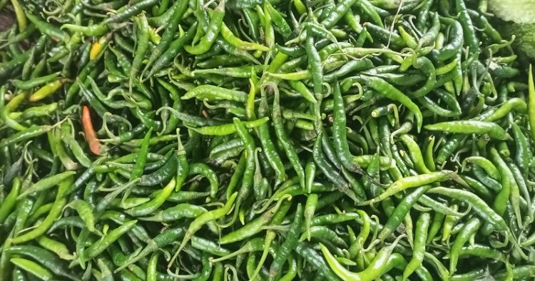 লাগামহীন সবজির দাম, কাঁচা মরিচের ‘ট্রিপল সেঞ্চুরি’