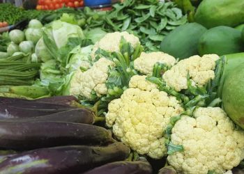 সবজির সরবরাহ বাড়লেও এখনও নিত্যপণ্যের চাপ ক্রেতার ঘাড়ে