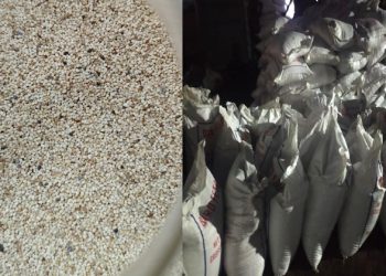 বার্ড ফুডের আড়ালে পাকিস্তান থেকে এল নিষিদ্ধ মাদক