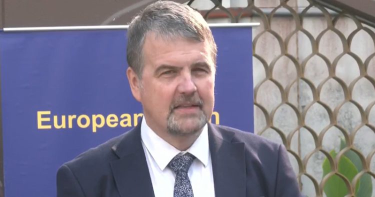 নির্বাচনি পরিবেশ খুবই ইতিবাচক : ইইউর প্রধান পর্যবেক্ষক