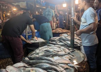 বেড়েছে মাছের দাম