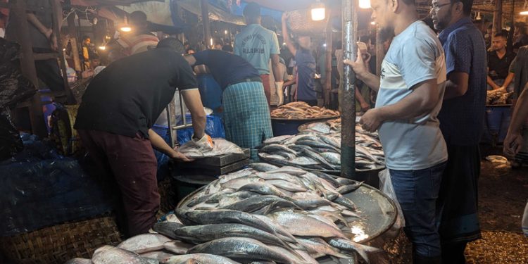 বেড়েছে মাছের দাম