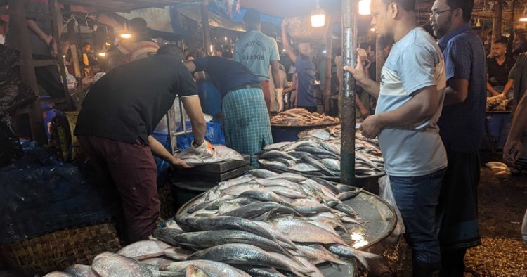 বেড়েছে মাছের দাম