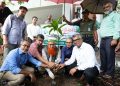 চুয়েটে বৃক্ষরোপণ কর্মসূচি-২০২৬ শুরু